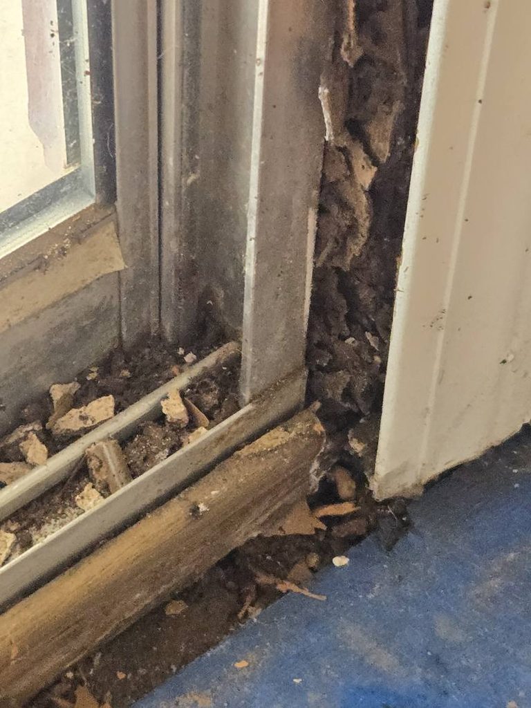 Rotted and mold-damaged sliding glass door trim before repair by Blue Line Home Services. 
